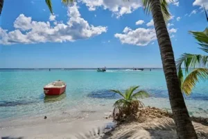 Secluded mangrove-lined beach in Boca Chica, Guerrero, ideal for birdwatching and ecological retreats