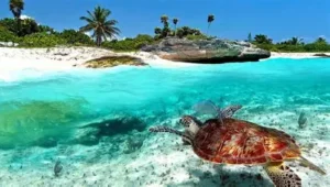 Rustic beachfront lodges and strong Pacific surf at Playa Ventura, with golden light and turtle sanctuary signage